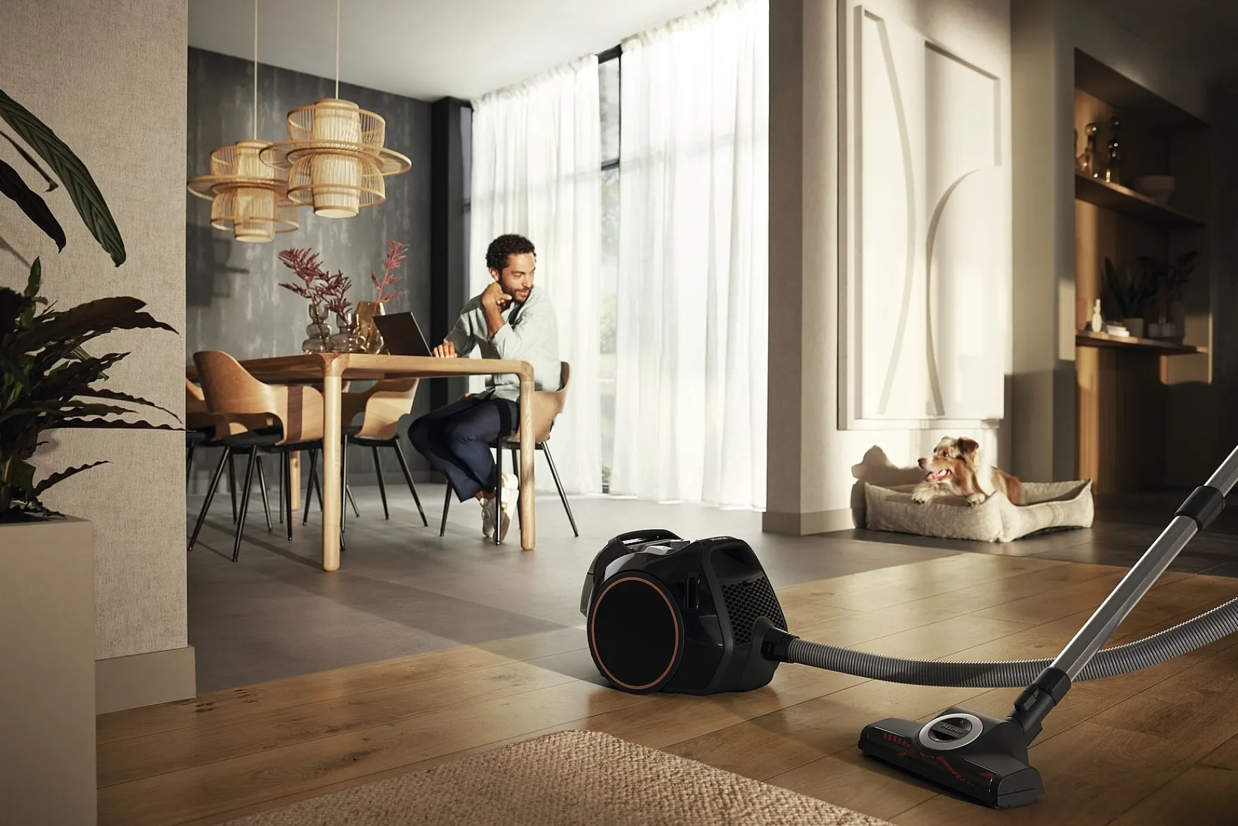 Miele Zakloze Stofzuigers<Boost Cx1 Kat En Hond