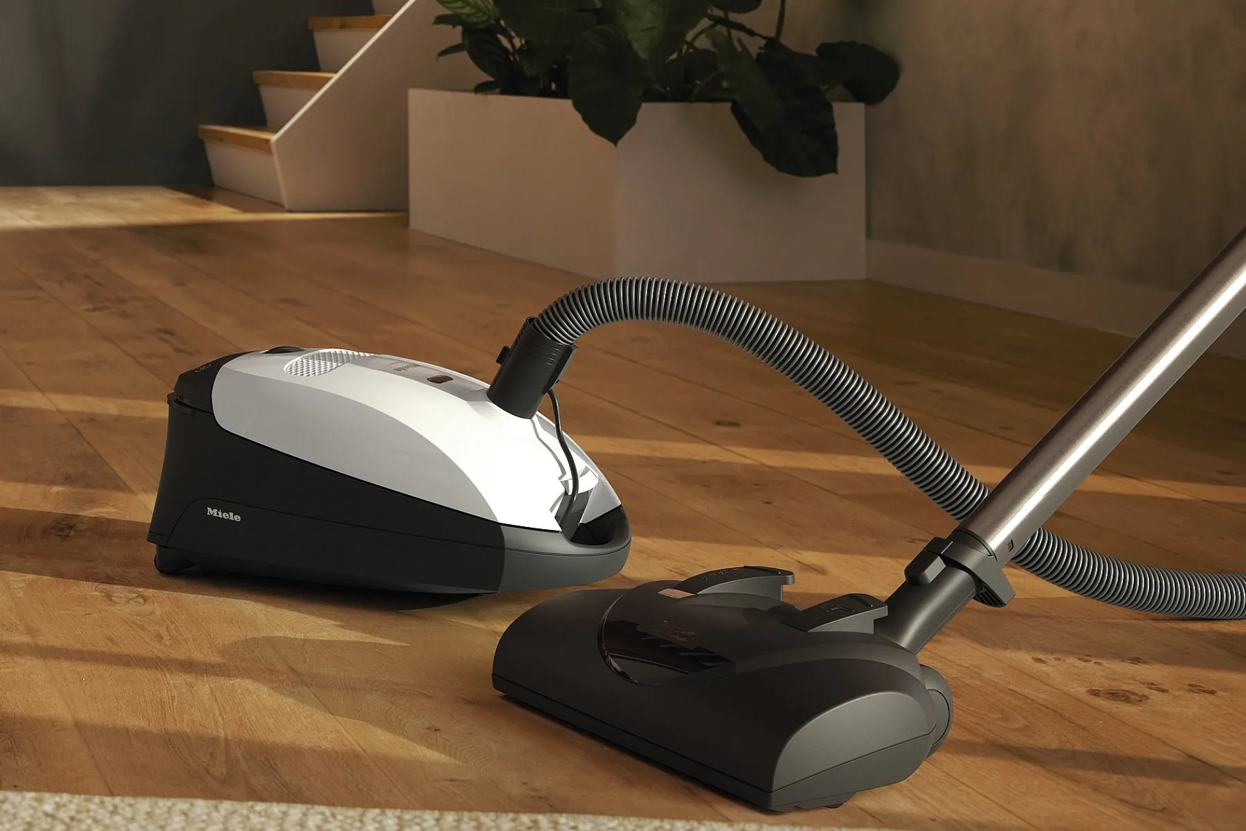 Miele Busstofzuigers Met Zak<Klassieke C1 Cat & Dog Powerline - Sbbn0