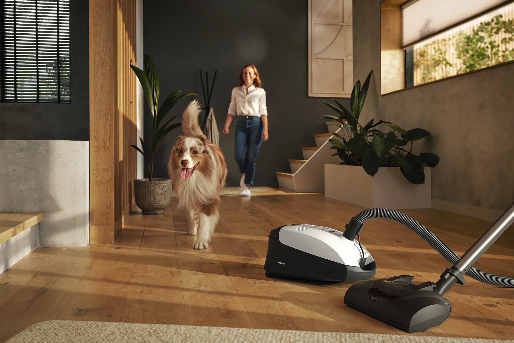 Miele Busstofzuigers Met Zak<Klassieke C1 Cat & Dog Powerline - Sbbn0